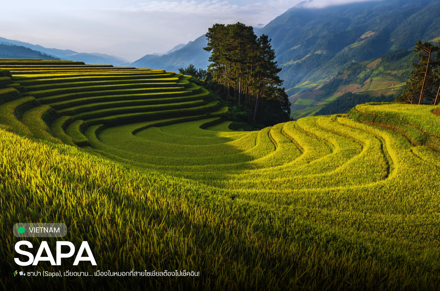 ซาปา (Sapa), เวียดนาม… เมืองในหมอกที่สายโซเชียลต้องไปเช็คอิน!