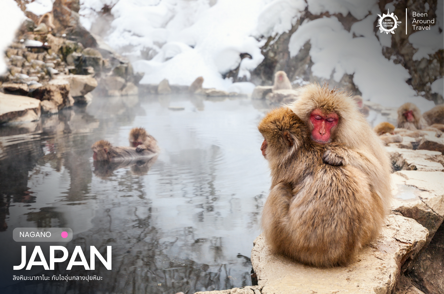Nagano Snow Monkey ลิงหิมะแห่งนากาโนะ เสน่ห์หน้าหนาวสุดน่ารักของญี่ปุ่น